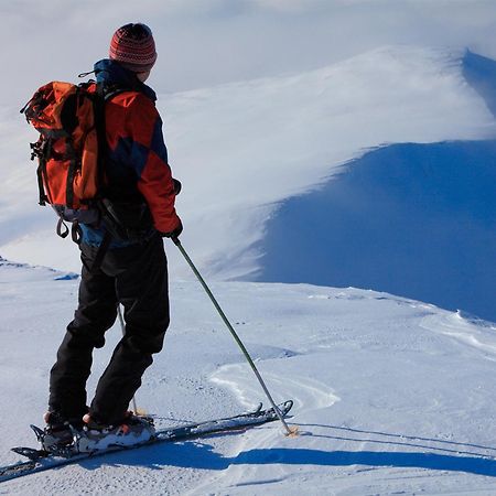 Arctic Panorama Lodge Uløybukta Екстериор снимка