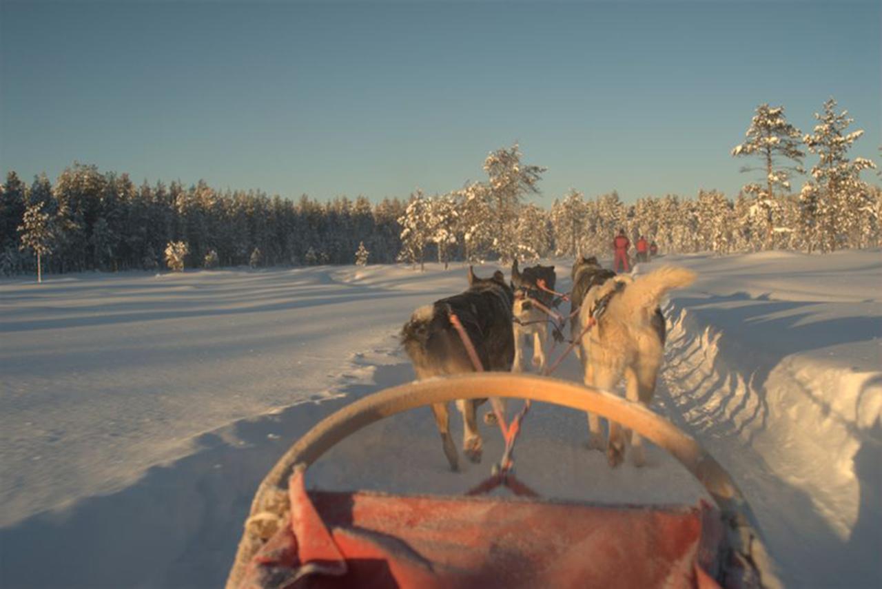 Arctic Panorama Lodge Uløybukta Екстериор снимка