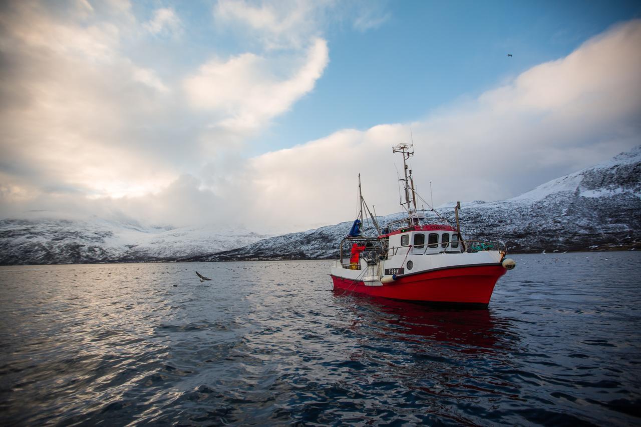Arctic Panorama Lodge Uløybukta Екстериор снимка