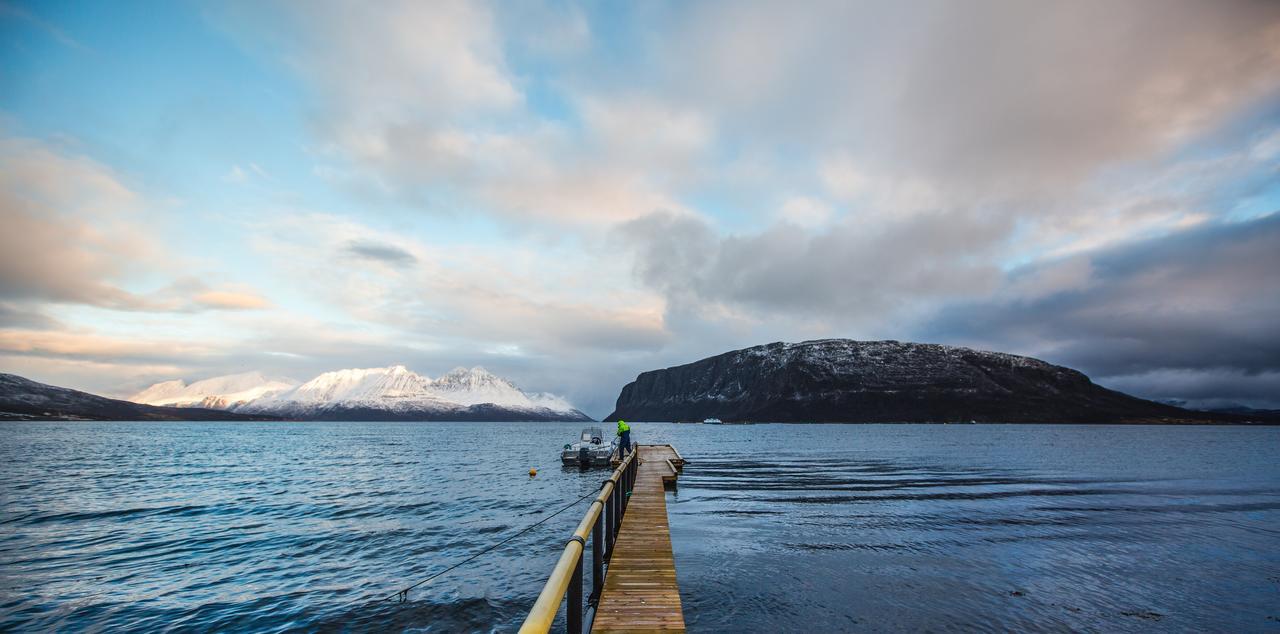 Arctic Panorama Lodge Uløybukta Екстериор снимка